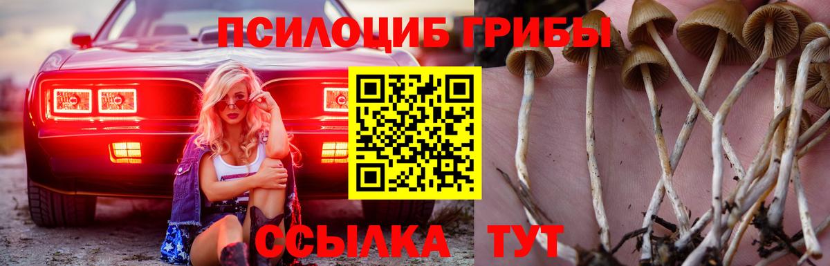 Галлюциногенные грибы мицелий  Вход с VPN  Спасск-Дальний 